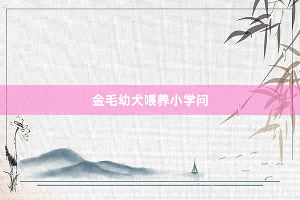 金毛幼犬喂养小学问